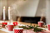 Place setting with christmas decorations
