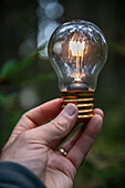 Close-up of hand holding lit light bulb