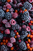 Frozen berries, full frame