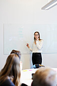 Woman having presentation during business meeting