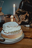 Katze leckt Semmelbrötchen auf Tisch