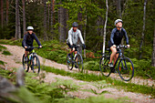 View of people cycling through forest