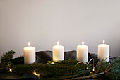 Christmas candles among conifer branches