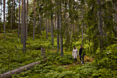 Couple walking together through forest