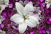 Blumen-Arrangement aus Lilien, Alstroemerien, Dianthus und Chrysanthemen, Marion County, Illinois.