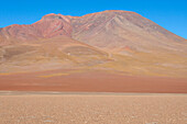 Bolivien, Atacama-Wüste. Gelbe Gräser bringen Farbe in den roten Berg in der Wüste.