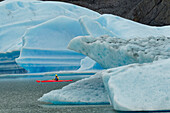 Kayaker exploring Grey Lake amid icebergs, Torres del Paine National Park, Chile, Patagonia