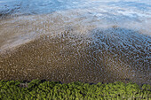 Schlammmuster am Strand. Ost-Guyana