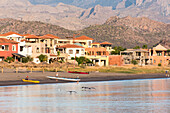 Mexiko, Baja California Sur, Meer von Cortez, Bucht von Loreto. Frühmorgendliche Aktivitäten am Strand des Loreto Bay Golf Resort and Spa