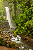 Mittelamerika, Costa Rica. Templo-Wasserfall im Regenwald