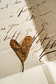 Getrocknetes herzförmiges Blatt auf antikem Brief