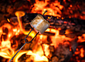 Nahaufnahme eines Marshmallows am Lagerfeuer