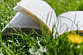 Nahaufnahme eines aufgeschlagenen Buches im Gras