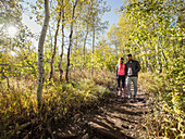 Couple walking in forest