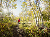 Mann joggt an einem sonnigen Tag im Wald