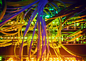 Close-up of tangled computer cables in server room