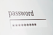 Nahaufnahme eines Passworts auf dem Computerbildschirm