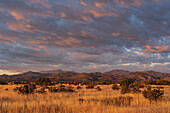 United States, New Mexico, Santa Fe, View over El Dorado to Sangere de Cristo mountains