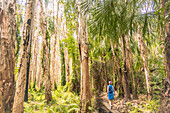 Australia, Queensland, Agnes Water, Woman walking on boardwalk in forest