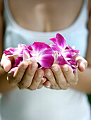 Nahaufnahme von Frauenhänden, die lila Orchideen halten