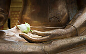 Thailand, Bangkok, Wat Phra Tempel, Lotusblume auf Buddha-Statue