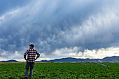 Rear view of farmer standing in field under storm clouds