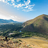 USA, Idaho, Hailey, Senior woman hiking Carbonate Mountain