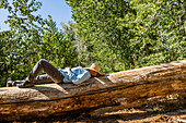 USA, Idaho, Bellevue, Mann mit Strohhut im Gesicht schläft auf einem umgestürzten Baum in der Landschaft 