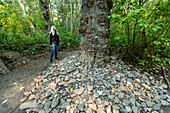USA, Idaho, Hailey, Woman looking at tree surrounded with heart shaped stones in Draper Reserve