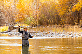 USA, Idaho, Bellevue, Älterer Mann beim Fliegenfischen im Big Wood River im Herbst