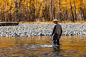 USA, Idaho, Bellevue, Rückansicht eines älteren Anglers beim Waten im Big Wood River im Herbst