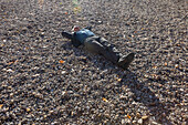 Senior man relaxing of empty river bottom 