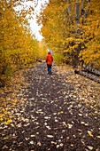 USA, Idaho, Bellevue, Rückansicht einer Frau auf einem mit Blättern bedeckten Fußweg im Herbst