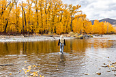 USA, Idaho, Bellevue, Ältere Frau beim Fliegenfischen im Big Wood River im Herbst