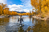 USA, Idaho, Bellevue, Ältere Frau beim Fliegenfischen im Big Wood River im Herbst