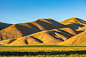 USA, Idaho, Bellevue, Blauer Himmel über goldenen Hügeln am späten Nachmittag