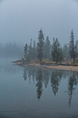USA, Idaho, Stanley, Foggy lake shoreline 