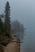 USA, Idaho, Stanley, Foggy lake shoreline in mountains 