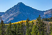 USA, Idaho, Stanley, Scenic mountain in autumn 