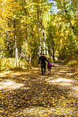 USA, Idaho, Hailey, Father and daughter (6-7) walk through forest in fall
