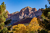 USA, Utah, Zion-Nationalpark, Berge und Herbstlaub