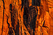 United States, Utah, Zion National Park, Sunset on red cliffs