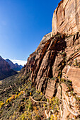 United States, Utah, Zion National Park, View of valley