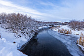 Vereinigte Staaten, Idaho, Bellevue, Eisiger Quellbach im Winter