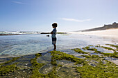 South Africa, Western Cape, Boy (8-9) exploring tidal pools in Lekkerwater Nature Reserve
