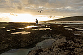 South Africa, Western Cape, Girl (16-17) exploring tidal pools in Lekkerwater Nature Reserve