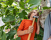 Junge (8-9) baut mit dem Hammer ein Baumhaus