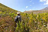 Südafrika, Barrydale, Älterer männlicher Wanderer zwischen hohen Pflanzen stehend