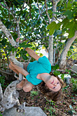 Junge (10-11) klettert im Sommer auf einen Baum
