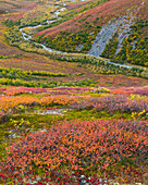 USA, Alaska, Brooks Range. Tundra und Dietrich River